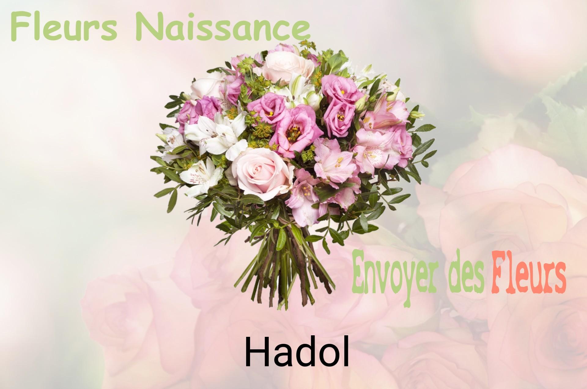 Bouquet de fleurs de naissance livré à Hadol
